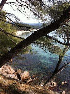 View of the coastal footpath on Giens peninsula