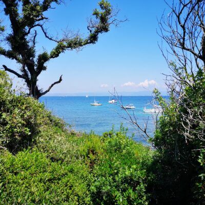 Plage de l'Aiguade on Porquerolles island