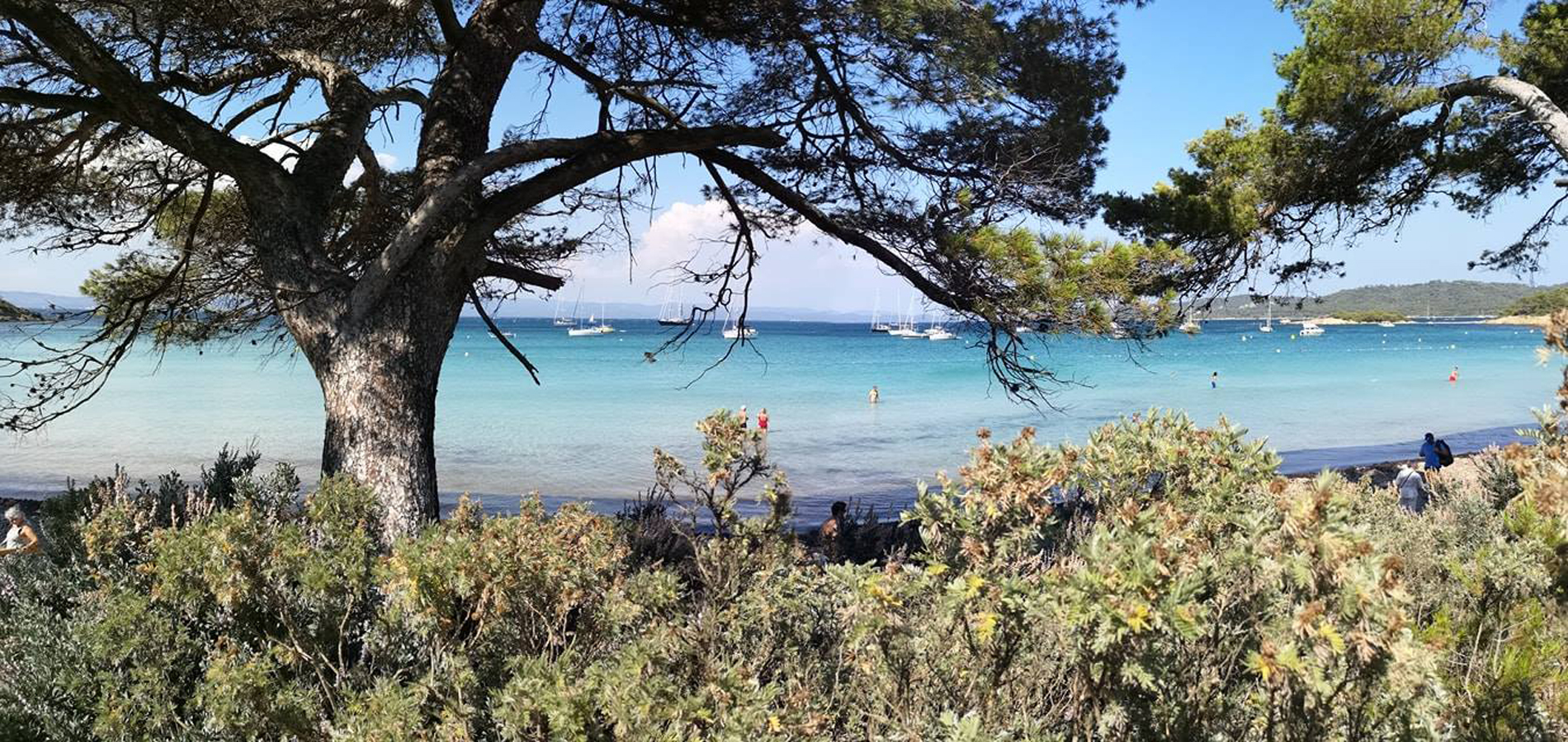 From the campsite to Porquerolles: boat bus from La Londe port