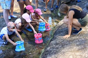 Camping Les Jardins de la Pascalinette ®