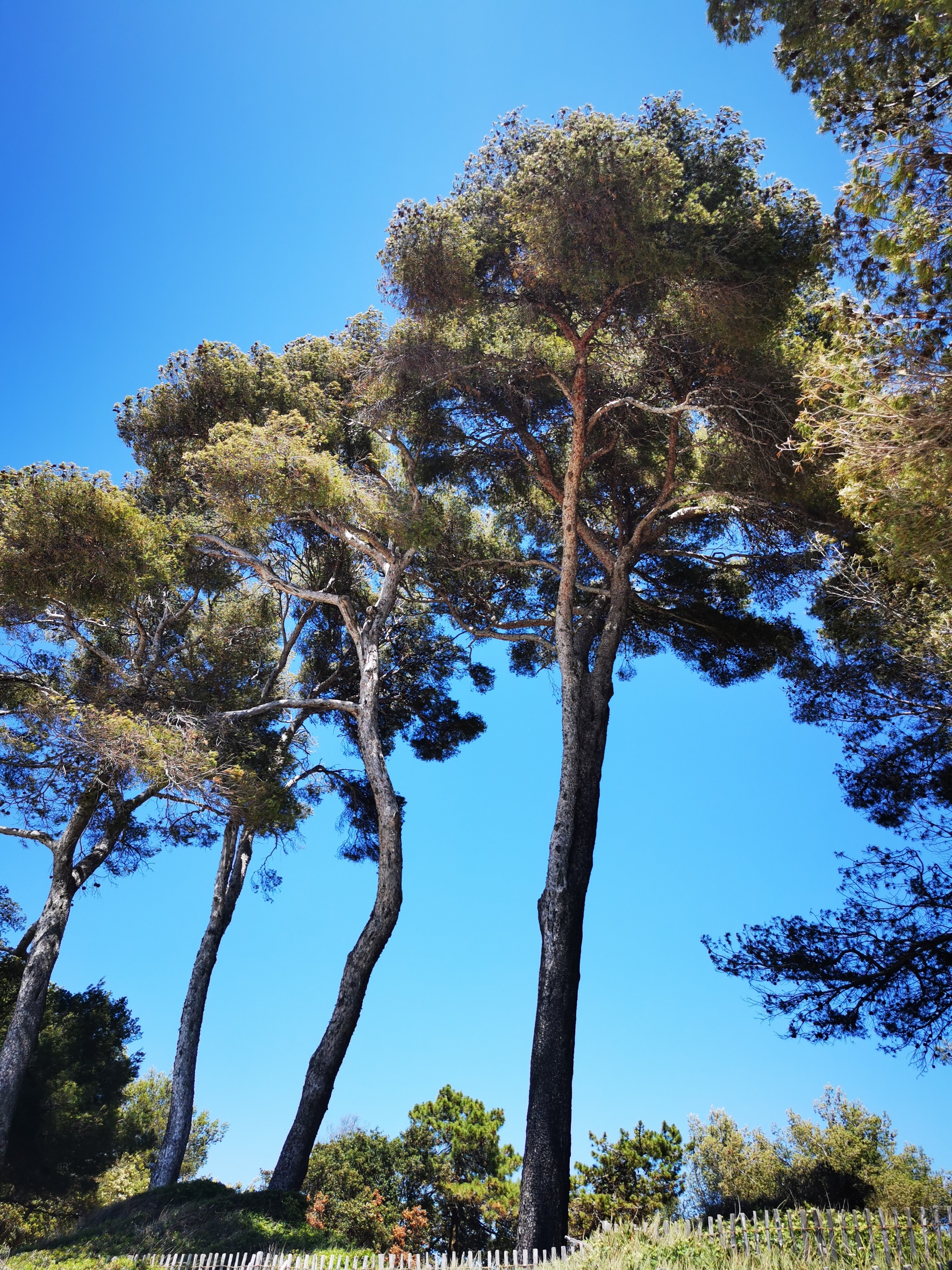 plage-estagnol-vacances-var