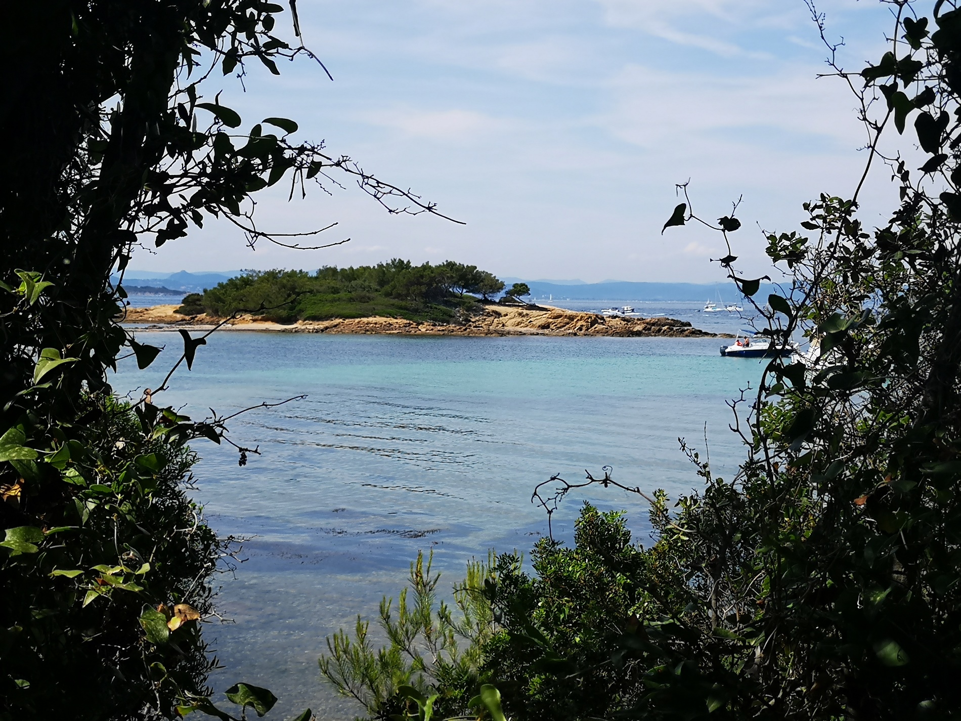 camping-var-bord-de-mer-ile-porquerolles