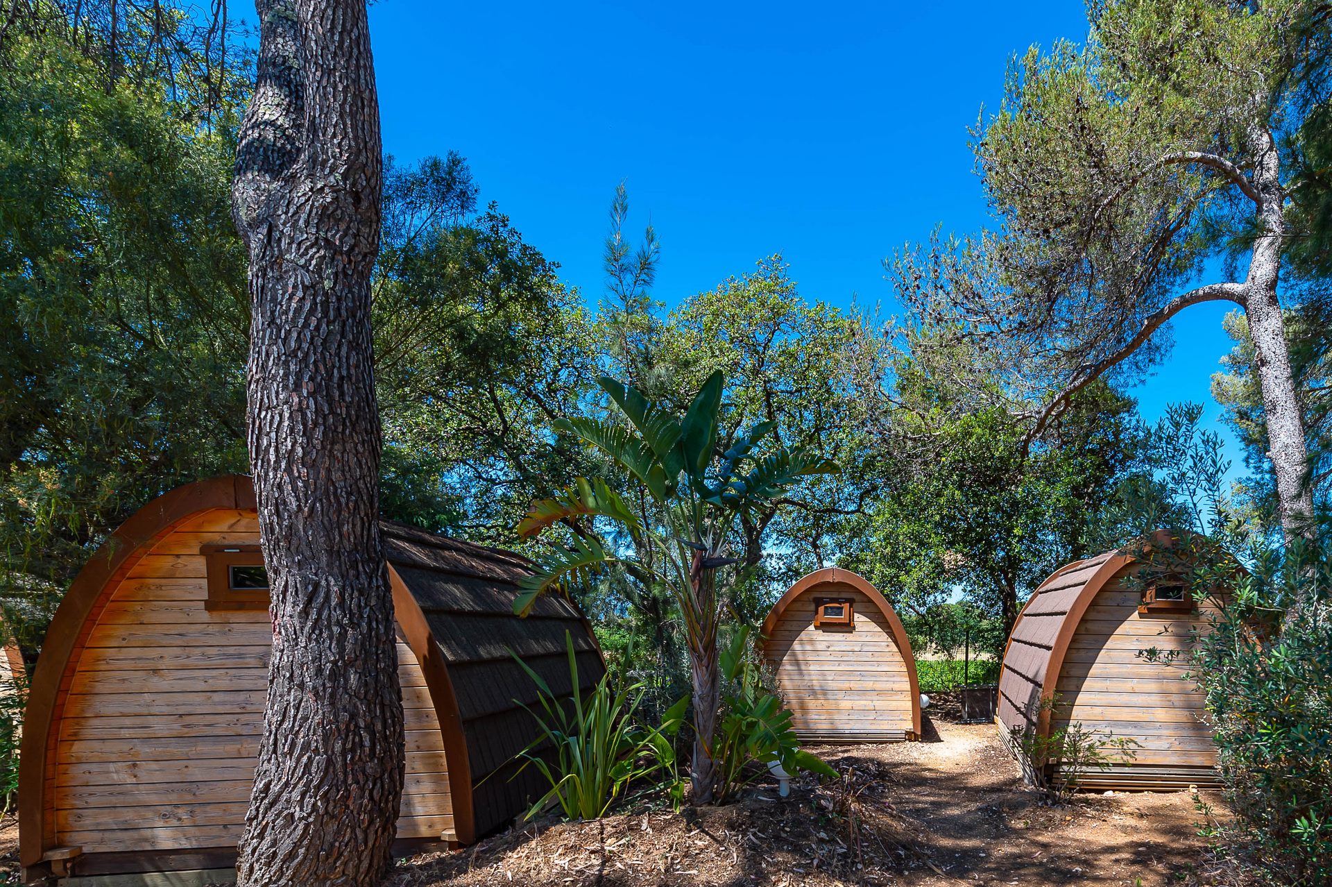 Camping cabin rental in the Var