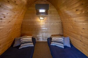 Cabins Friends Family Novel Holiday