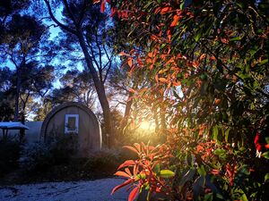 Low-cost nature camping holiday in the Var