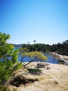 Camping Les Jardins de la Pascalinette ®