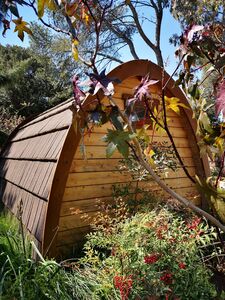 Huts Smart Price Unusual Family Friends