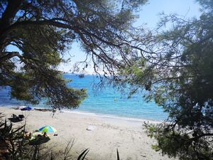 A beach near the campsite