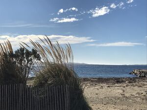 A sandy beach near our campsite Les Jardins de La Pascalinette ®