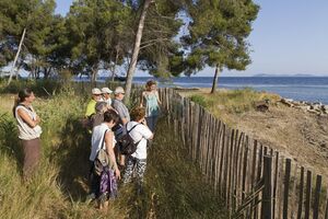 An excursion in the Var area – the old saltmarshes in Hyères