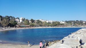 Beaches near the campsite