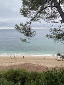 A natural beach in the Var French Riviera-Côte d'Azur