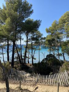 Shaded sandy beach in Bormes