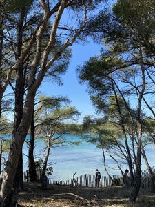 Hike Bormes Var French Riviera-Côte d'Azur