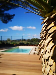 A holiday for 4 guests with private pool at our 4-star campsite in the Var, French Riviera-Côte d'Azur