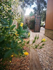 Nature campsite luxury mobile home