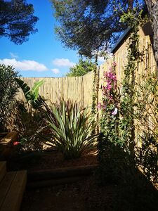 A nature seaside campsite in the Var, French Riviera-Côte d'Azur
