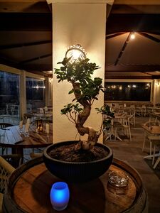 Restaurant-lounge bar near Toulon