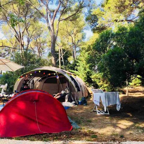 Spacious Premium VIP tent, caravan and camper van pitches with private sanitary facilities
