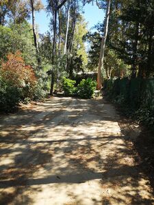 Shaded pitch in the Var campsite