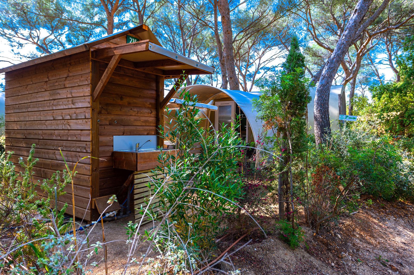 Pre-pitched tent rental at seaside campsite