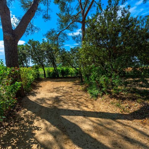Standard Pitches on the French Riviera