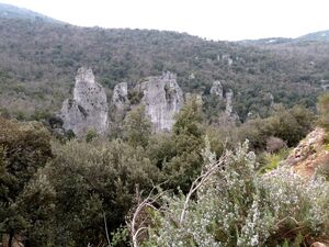 Hiking in Provence