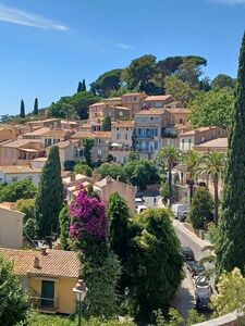 What to see in Bormes-les-Mimosas?