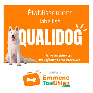 Our dog-friendly campsite is climbing up the Qualidog ranking!