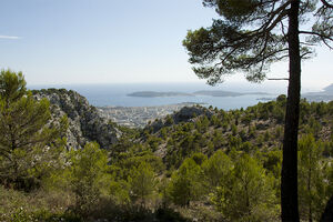 Rock climbing in the Var area
