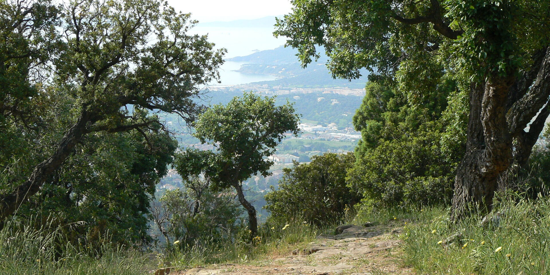 Bormes-les-Mimosas