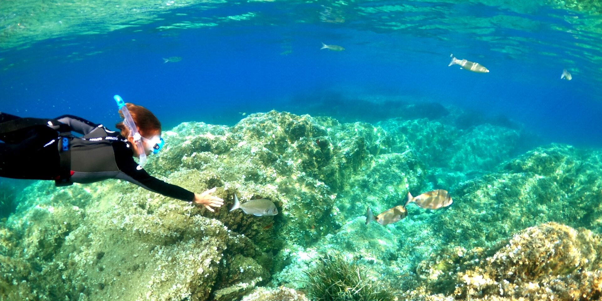 Scuba diving led by qualified instructors