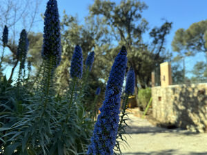 Camping Les Jardins de la Pascalinette ®