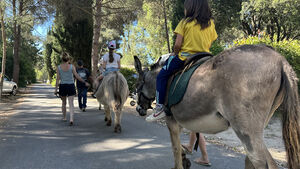 Donkey ride at at the campsite