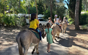 Children riding on donkeys