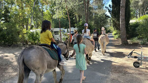 Children riding donkeys