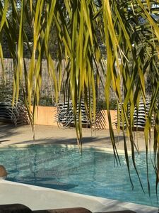 Camping Les Jardins de la Pascalinette ®