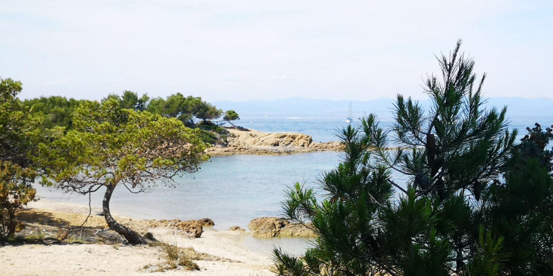 Hyères beach: blue skies and pine trees