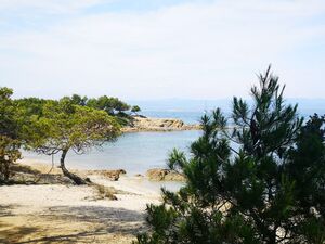Hyères beach: blue skies and pine trees
